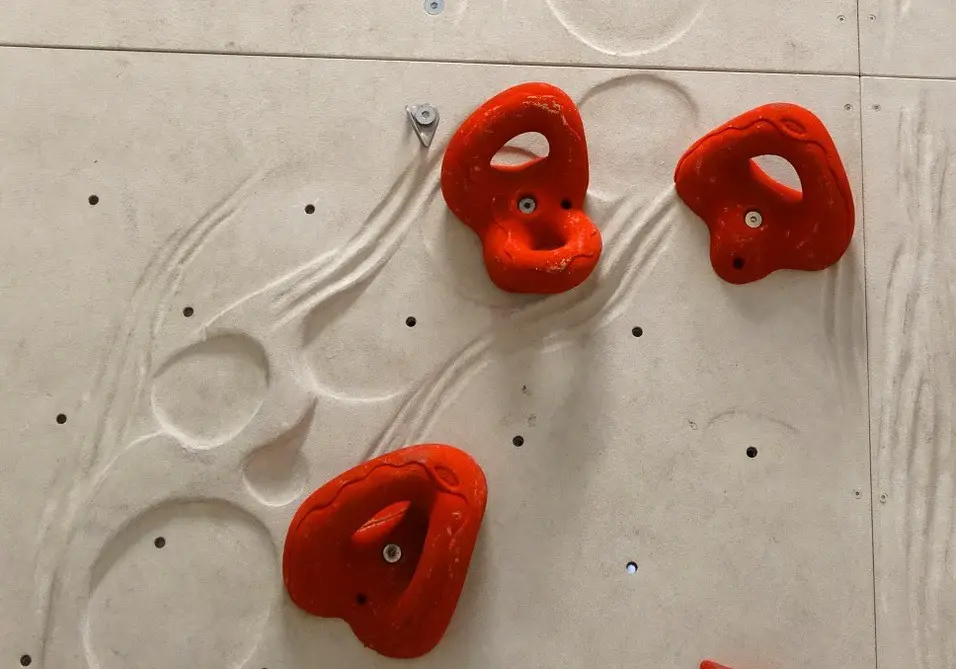 Jugs on a climbing wall in an indoor climbing gym