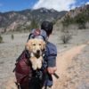 Dog in a dog bag on a climbers back while they're on their way to the mountains