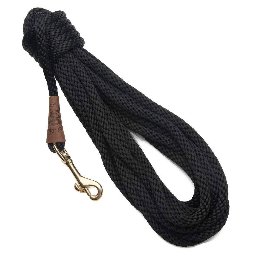 Extra long rope to tie your dog in when climbing