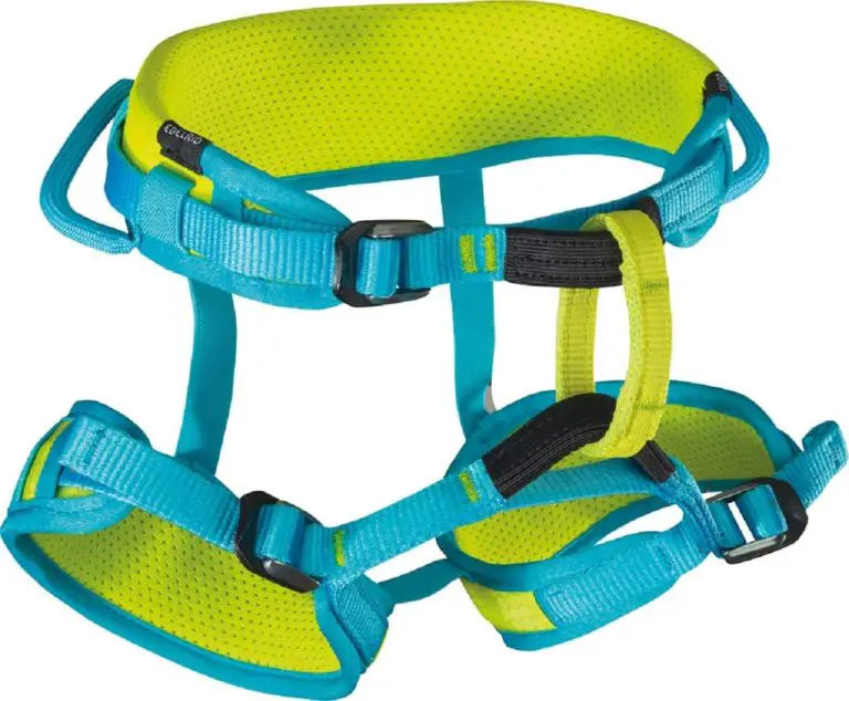 infant climbing harness